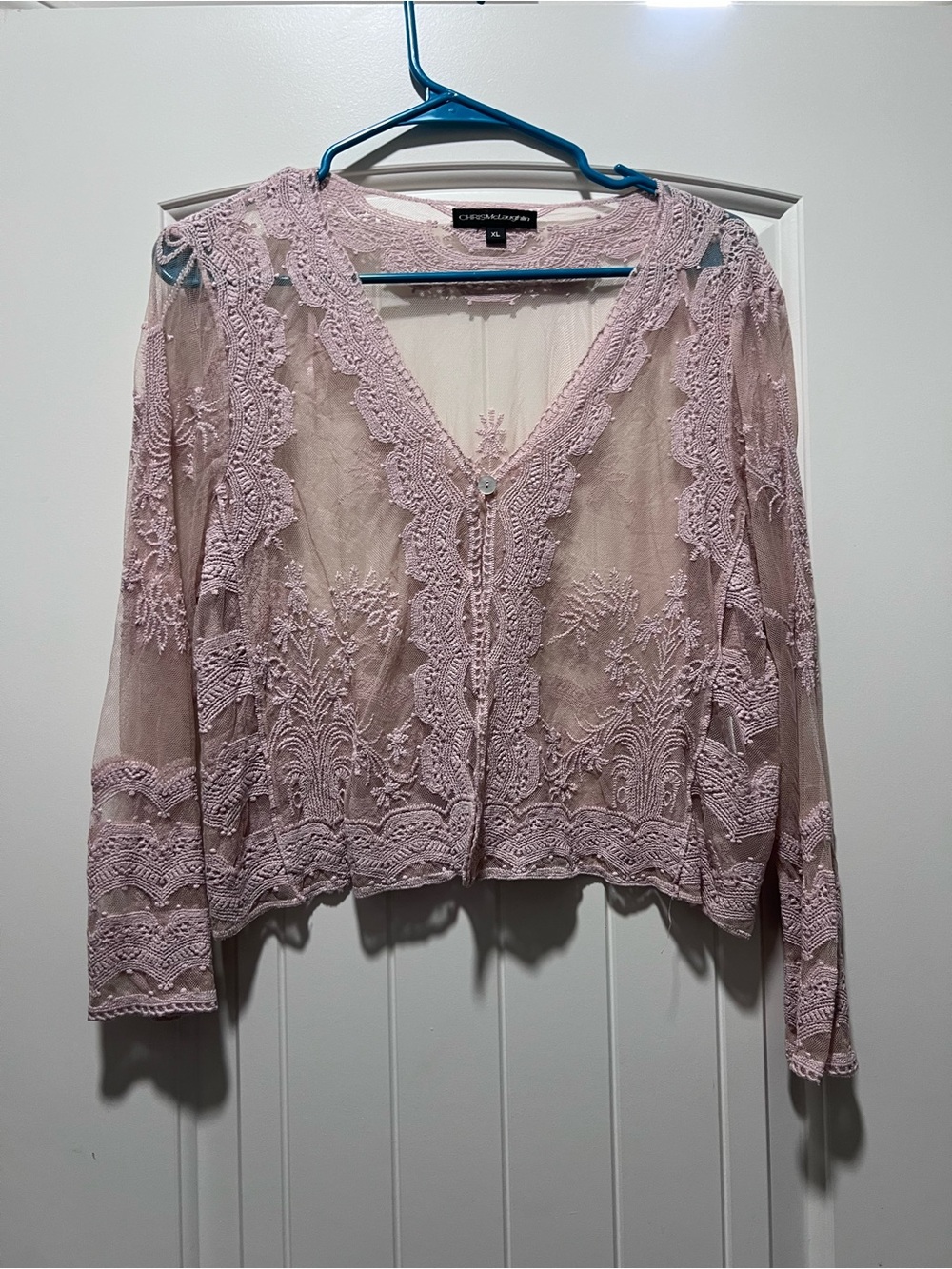 Lace-Embroidered Sheer V-Neck Blouse in Light Pink